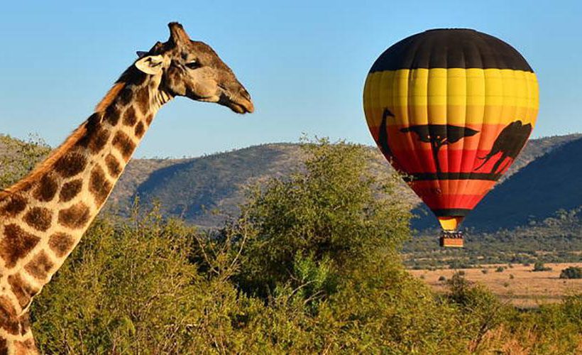 Pilanesberg National Park & Game Reserve